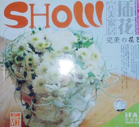 A01ҾӲ廨SHOW գVCD)